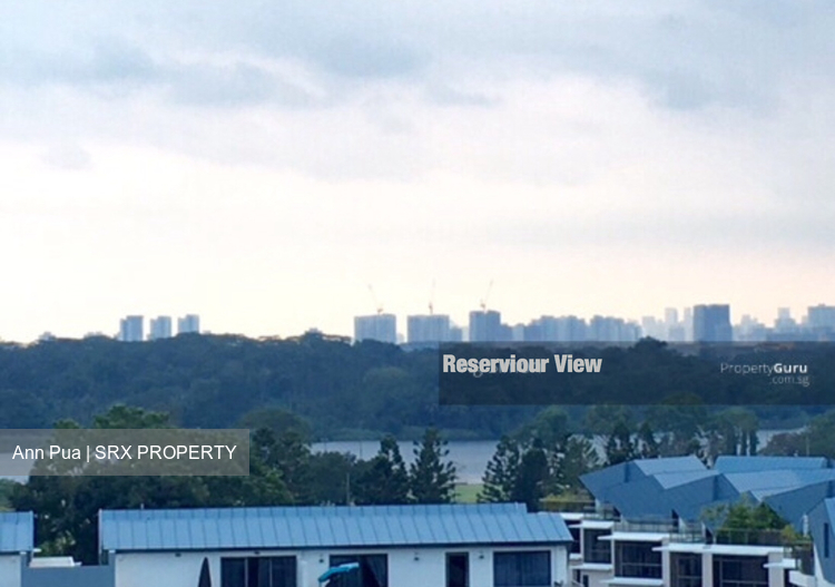 Skies Miltonia thumbnail photo